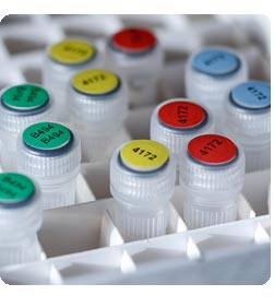 Etiquetas de colores de poliéster