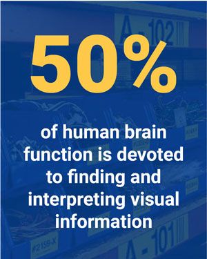 50% de las funciones del cerebro humano se usan para interpretar información visual