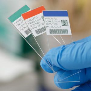 Portaobjetos - Identificación de laboratorios